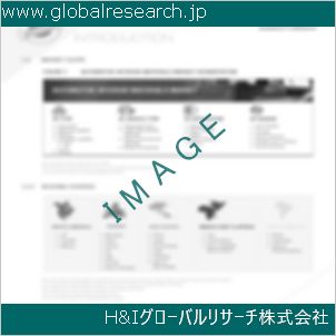 グローバルリサーチ調査資料のイメージ